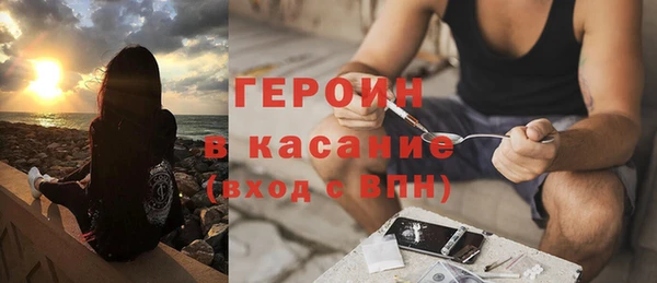 индика Богородск