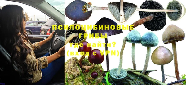прущая мука Белокуриха