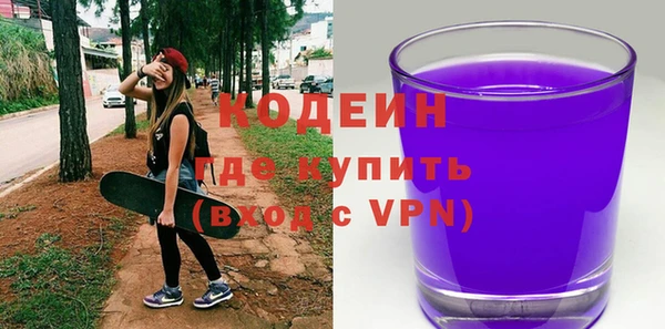 индика Богородск