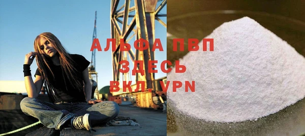 индика Богородск